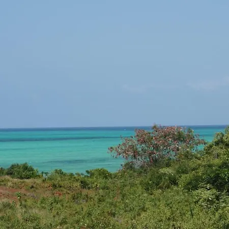 Coral House Near Villa Bluu-3